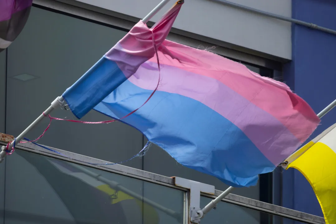 No Dia da Visibilidade Bissexual, celebrado nesta terça-feira, 23, o Portal A TARDE traz uma reflexão sobre a sexualidade