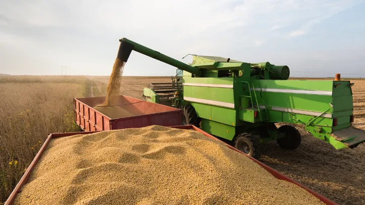A soja, uma das estrelas do agro, segundo Humberto Miranda, presidente da Faeb, e a colheita do trigo: ‘Tudo flui bem, mas poderia ser bem melhor’