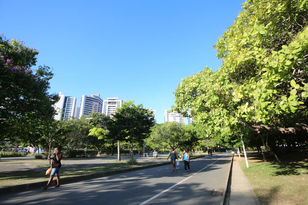 Salvador tem opções gratuitas além das praias
