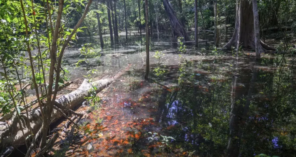 Pesquisadores encontraram indícios da presença de dinossauros há mais de 103 milhões de anos.