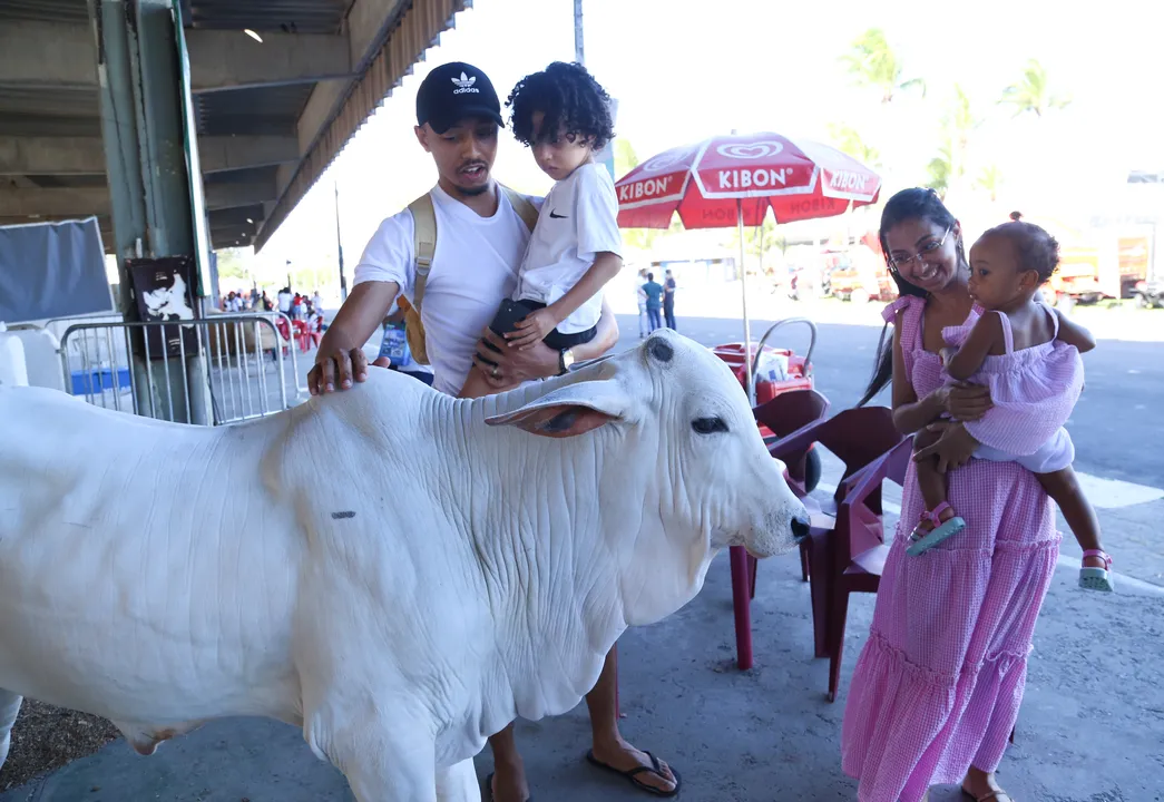Feira promete uma programação diversificada que une agronegócio, cultura e lazer para toda a família