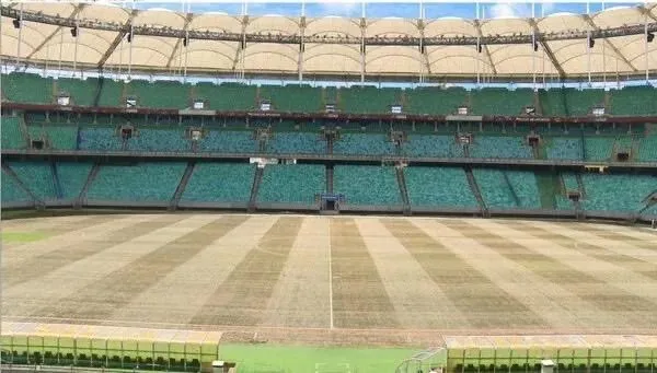 Técnico Rogério Ceni e jornalistas criticam o estado do estádio