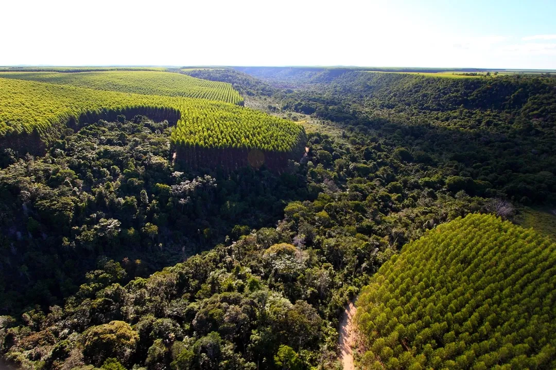 Associação Baiana fará parte da delegação brasileira na COP30