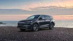BYD Tan 2025