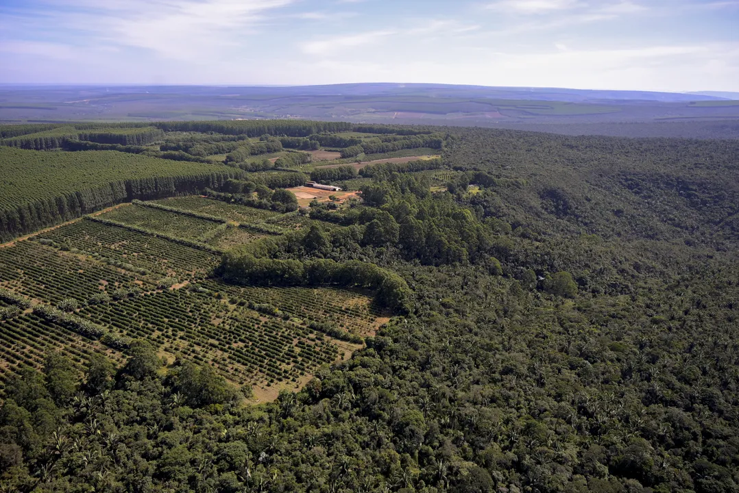 Vista aérea e uma área de Mata Atlantica 
Foto: Douglas Magno Com crescimento de 54% sobre o período anterior, a Bahia está pelo segundo ano consecutivo na segunda colocação entre os estados que mais desflorestaram áreas naturais de Mata Atlântica entre 2020 e 2021, quando perdeu 4.968 hectares (ha). Os dados foram divulgados na 17ª edição do Atlas dos Remanescentes Florestais da Mata Atlântica, através de um trabalho de parceria entre a Fundação SOS Mata Atlântica (Sosma) e o Instituto Nacional de Pesquisas Especiais (Inpe), iniciado em 1989. 

Na foto: Setubinha, MG
Foto: Douglas Magno / Divulgação