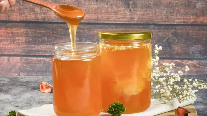 Concurso já é tradição na valorização da apicultura e meliponicultura baiana