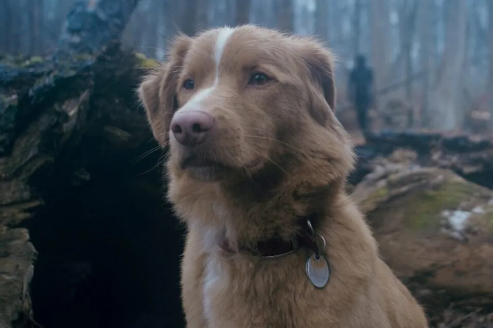 Bom Menino é a principal estreia da semana