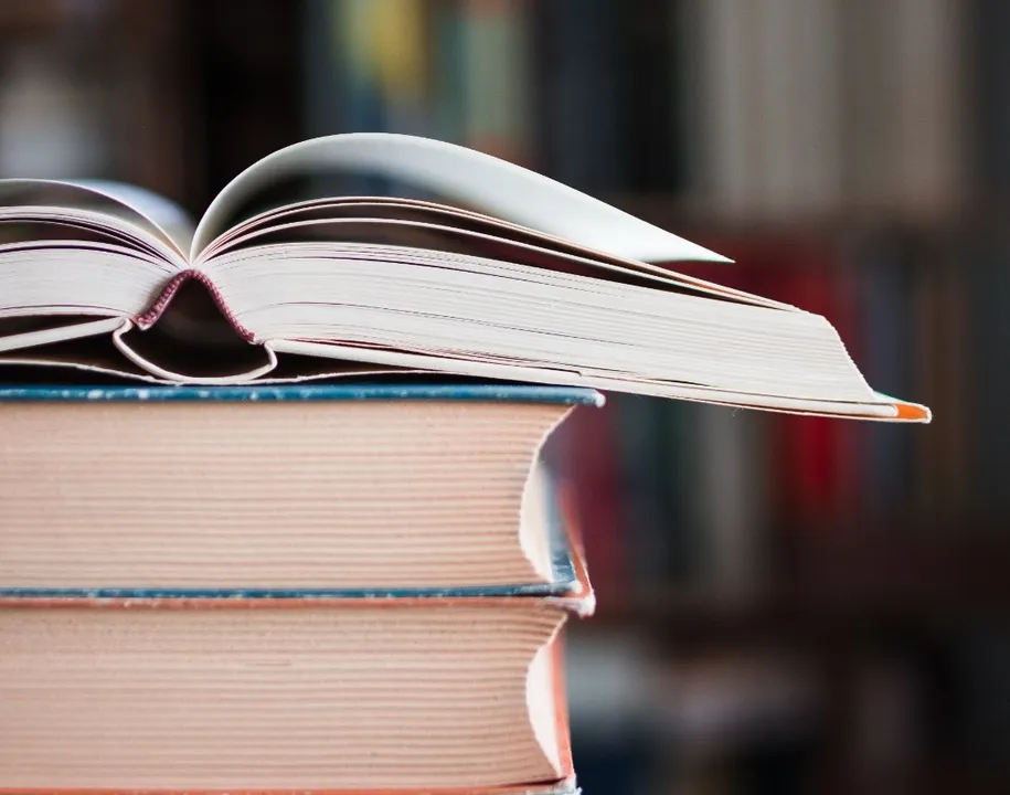 Imagem ilustrativa da imagem O declínio da leitura