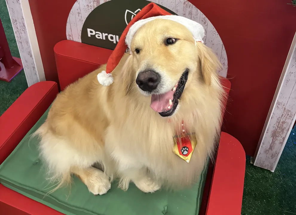 Encontros com Hugo e Mike ocorrem às sextas, sábados e domingos