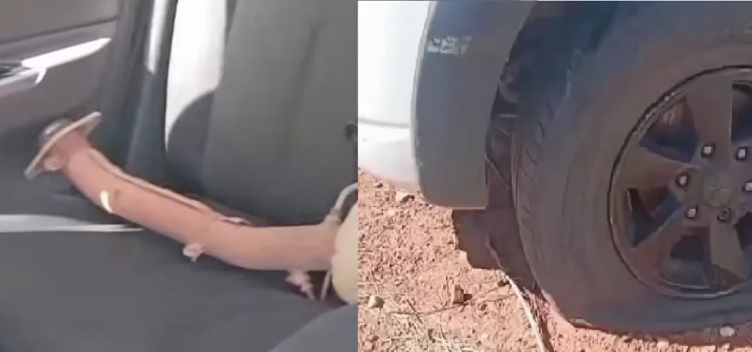 Veículos, que foram adquiridos há 4 anos, estão abandonados no município