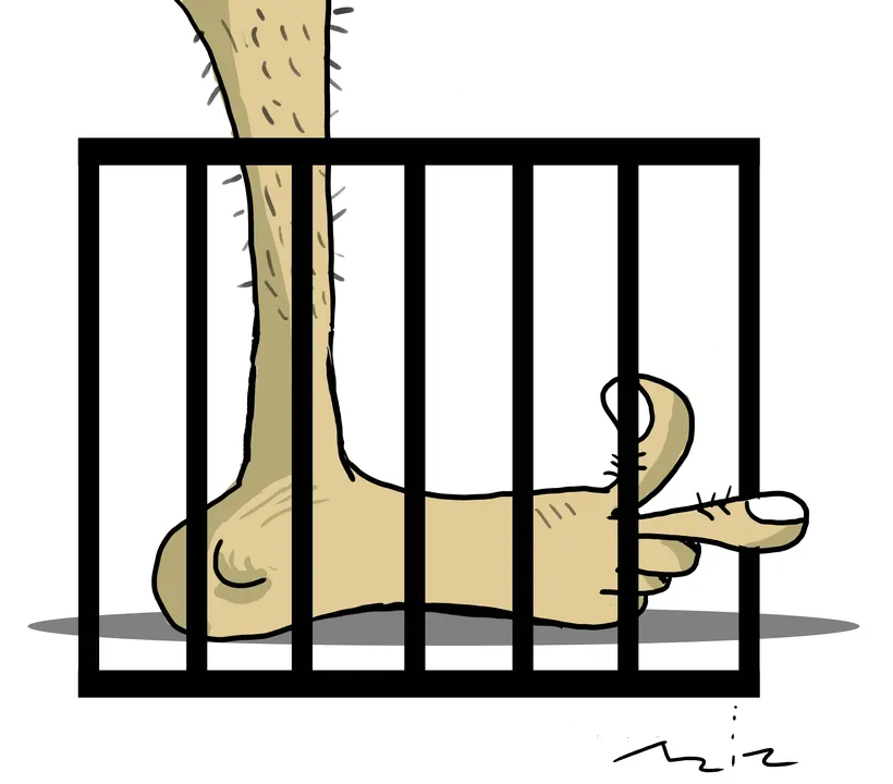 Imagem ilustrativa da imagem Charge do dia 25/11/2025