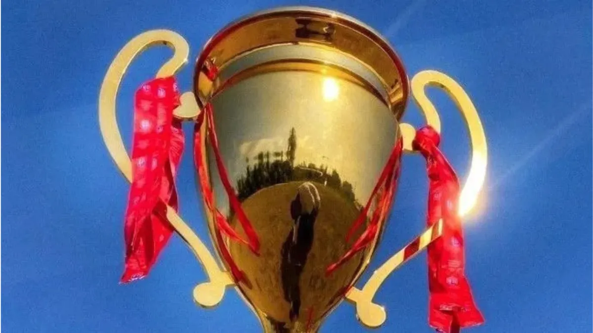 Taça do Baianão