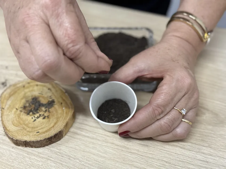 Elementos utilizados na produção da sementeira