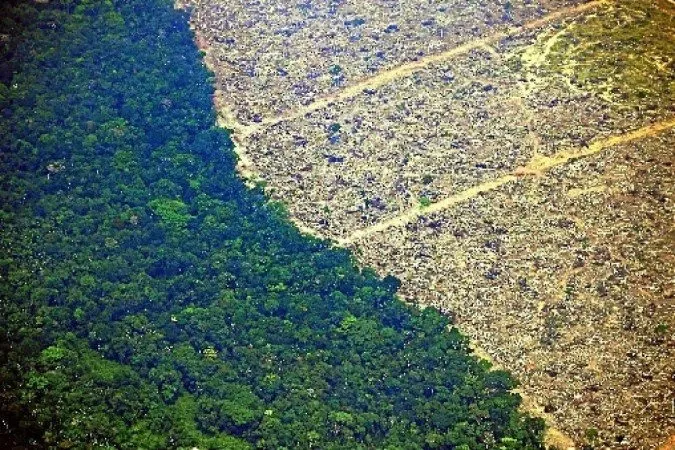 Governo busca impedir o enfraquecimento da legislação ambiental às vésperas da Conferência da ONU