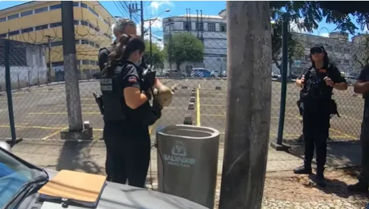 Segundo populares, a ossada havia sido deixada no local horas antes
