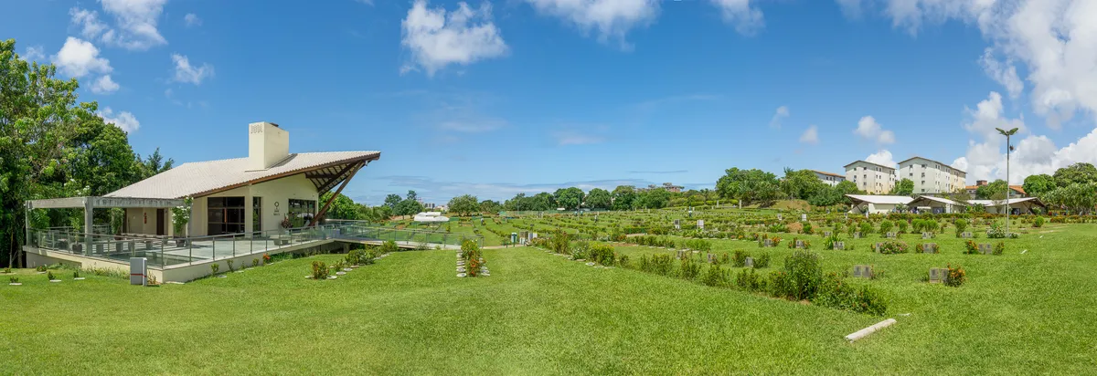 Imagem ilustrativa da imagem Cremação: entenda porque ela é uma opção moderna, respeitosa e acolhedora para as famílias