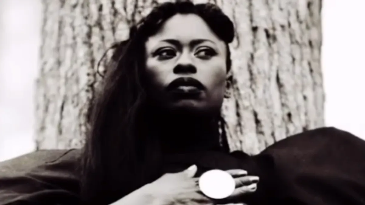 Imagem ilustrativa da imagem E se o povo negro não tivesse vindo em navios negreiros, mas em úteros?