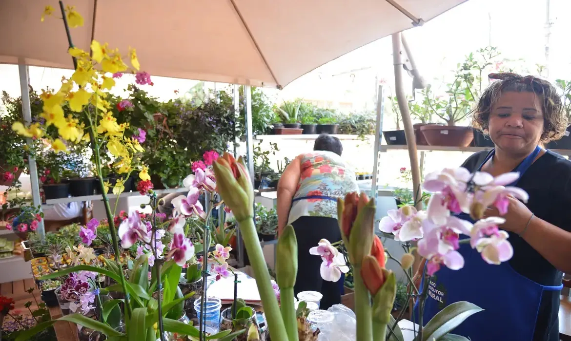 Vendedora de flores como exemplo de MEI