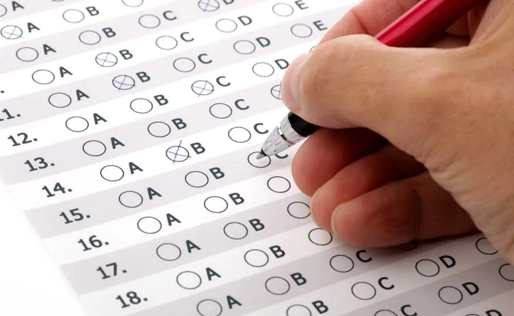 Bracell e MS Florestal abriram inscrições para o programa de trainee