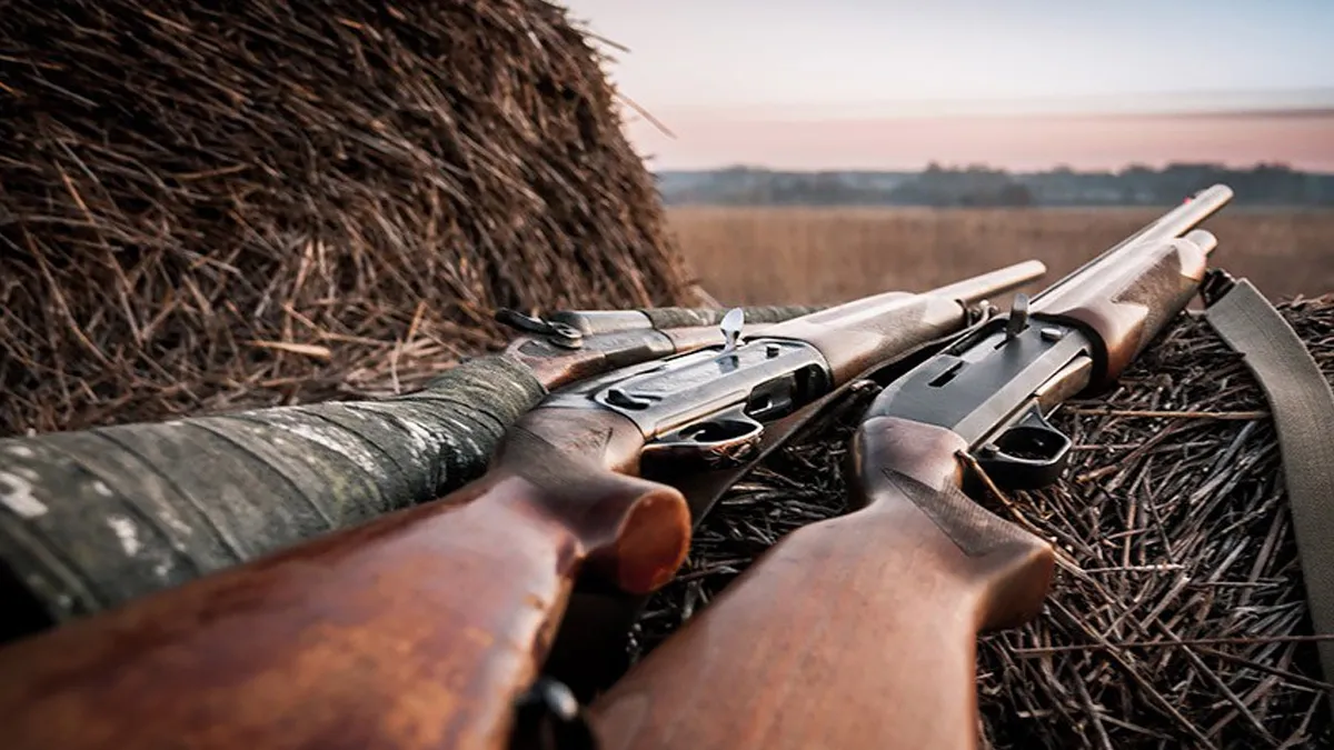 ALMG aprovou projeto de lei para combater praga