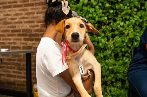 Ação reforça causa animal em Salvador