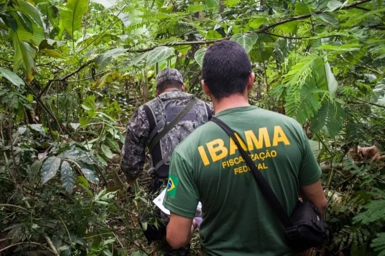 Licença do Ibama representa avanço para a soberania energética