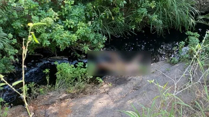 Polícia apura se corpo localizado é do adolescente