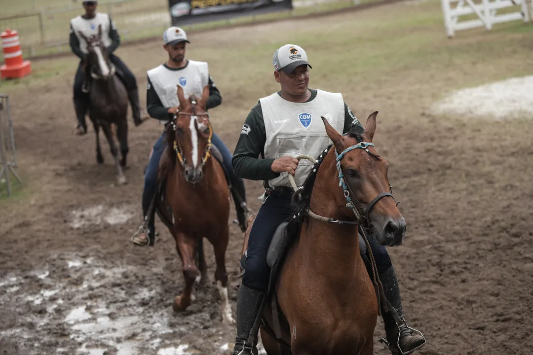 Campeonato de marcha batida, mangalarga marchador em 2024