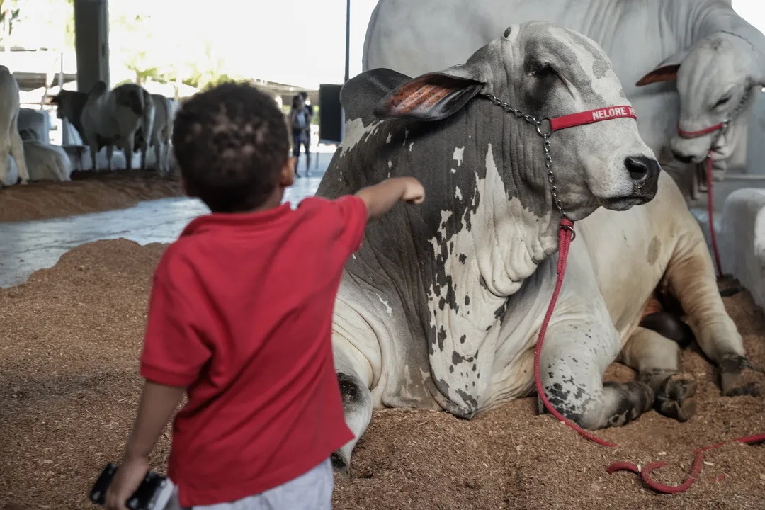 Feira Nacional da Agropecuária (FENAGRO) 33ª edição