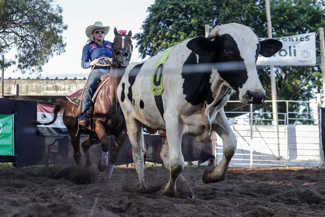 Feira acontece entre 29 de novembro e 7 de dezembro