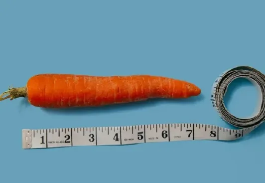 Experimento contou com participação de mais de 800 voluntários