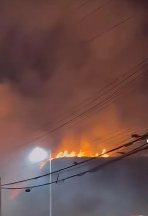 Fogo atinge vegetação na Paralela