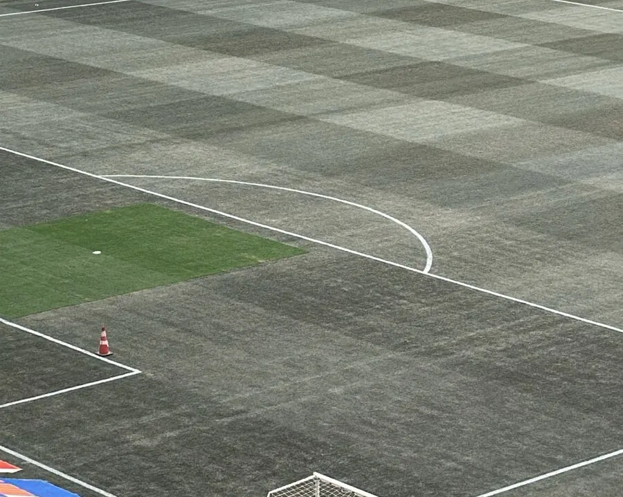 Gramado da Arena Fonte Nova