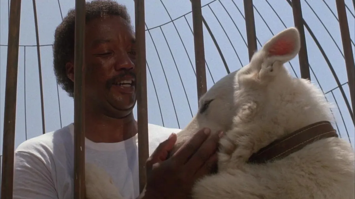 Dia da Consciência Negra expõe como o cinema ajudou a perpetuar estereótipos racistas