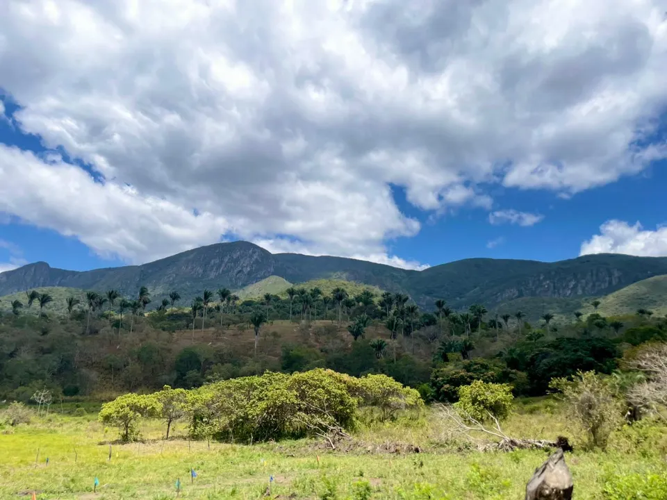Itaitu é um ponto de encontro entre a Caatinga e a Mata Atlântica serrana