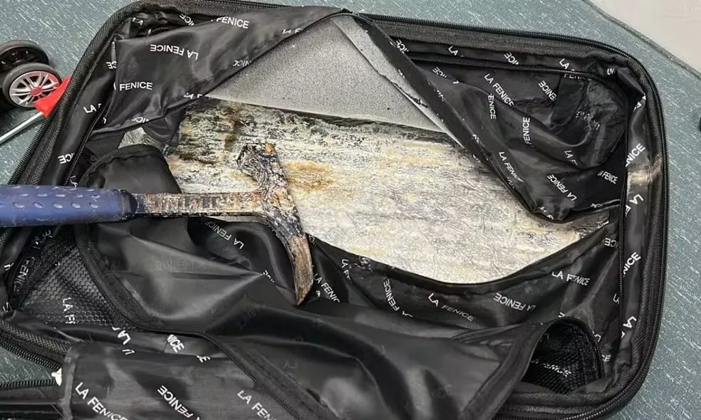 Droga estava escondida em um fundo falso da mala
