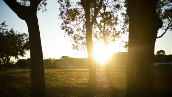 Umidade baixa pode ser perigoso a saúde, segundo a OMS