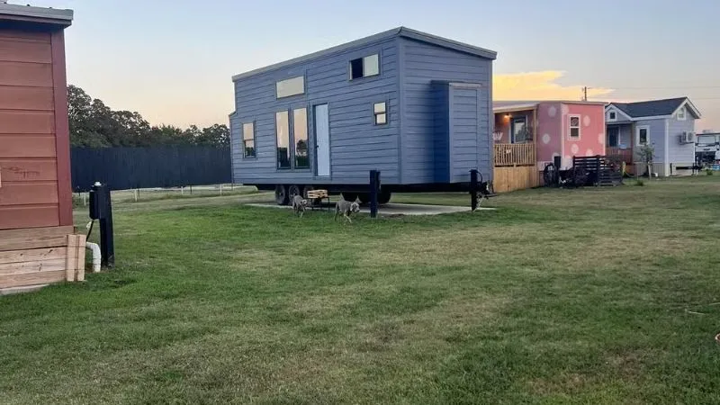 Mensalidade custa cerca de US$ 450