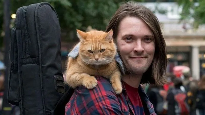 Imagem ilustrativa da imagem Músico muda de vida e ganha fama após achar gato no meio da rua