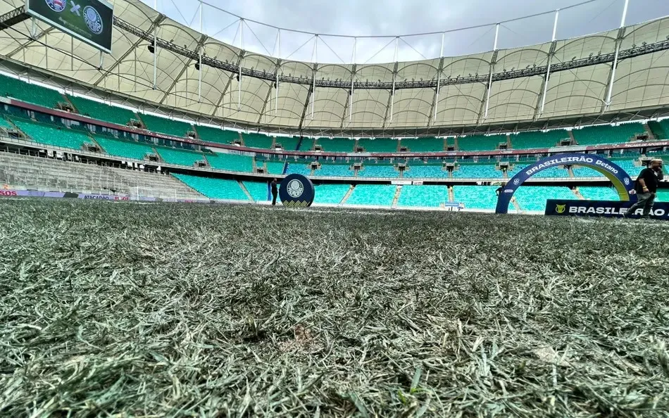 Gramado da Fonte Nova em Bahia e Palmeiras