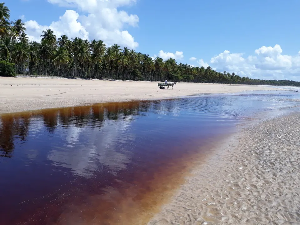 Nem toda restinga constitui Área de Preservação Permanente