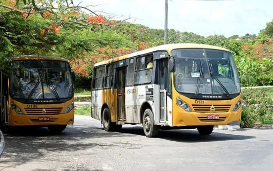 As linha circularão todos os dias