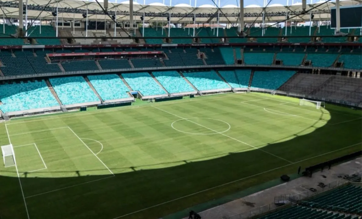 Gramado da Arena Fonte Nova após substituição