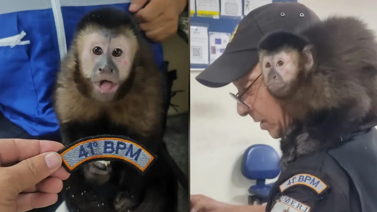 O animal era usado por dois indivíduos suspeitos de praticar assaltos