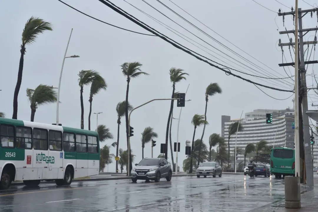 Chuva da uma trégua e população pode até curtir uma praia