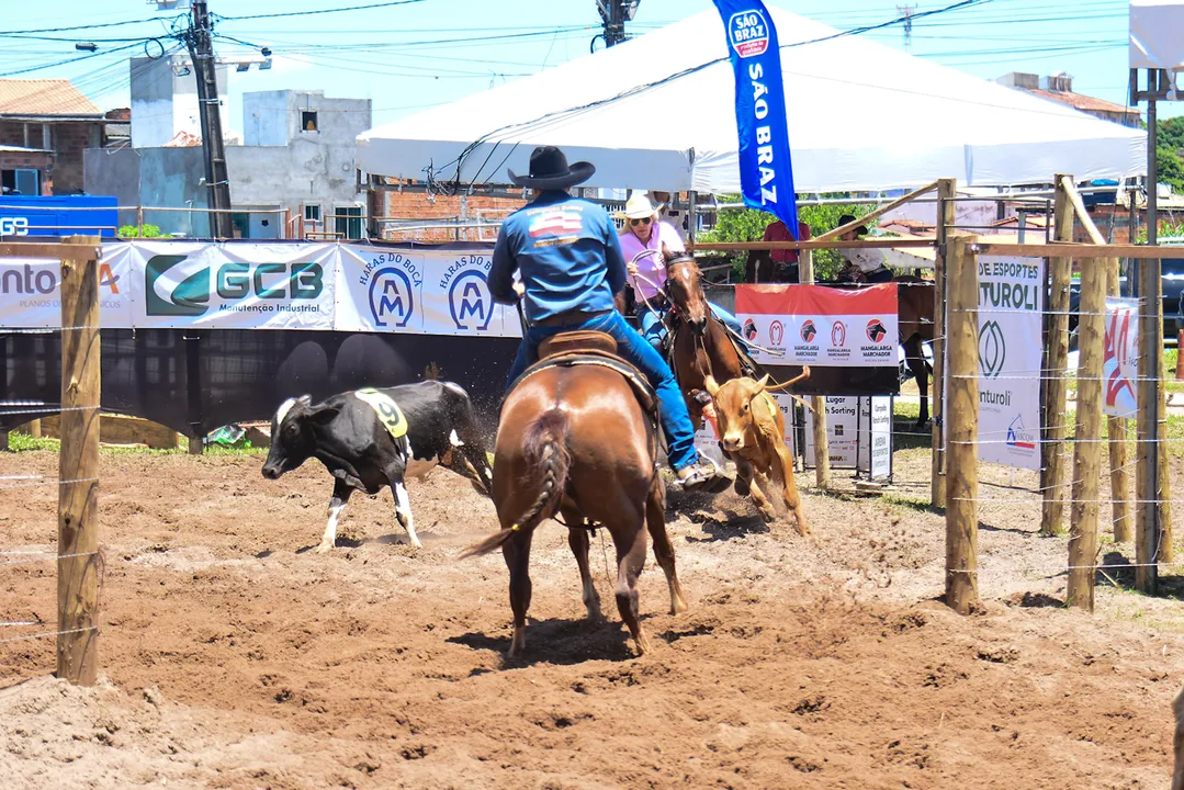 Campeonato de Ranch Sorting na Fenagro 2024