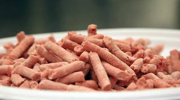 Salsicha não é recomendada pelo Programa Nacional de Alimentação (PNAE)