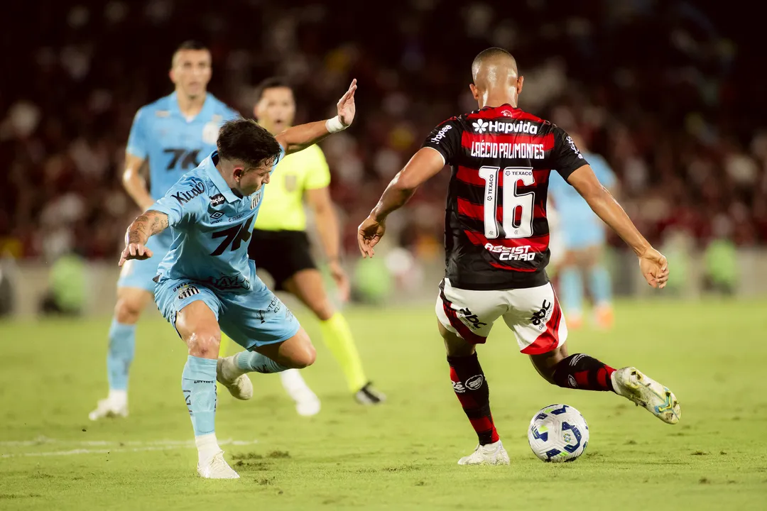 Imagem ilustrativa da imagem Santos perde para o Flamengo e Vitória segue fora do Z-4