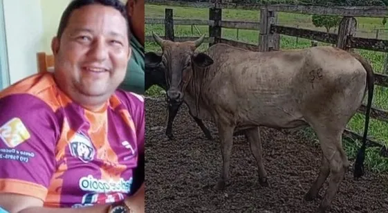 Secretário é acusado de furtar vaca