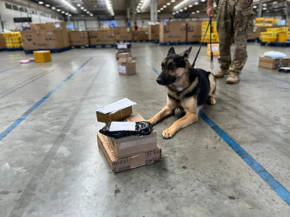 Com o apoio do canil da Core, os policiais localizaram encomendas com entorpecentes